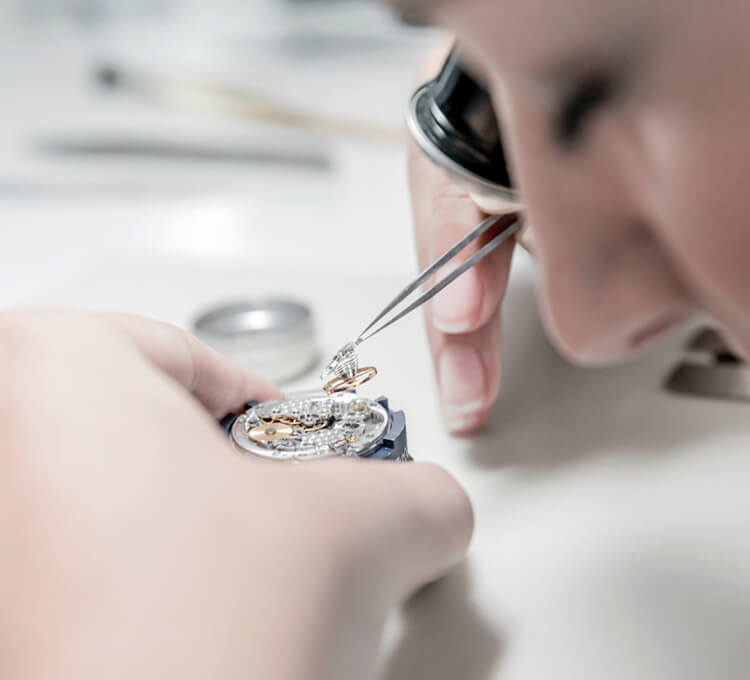 A VOYAGE INTO THE WORLD OF ROLEX