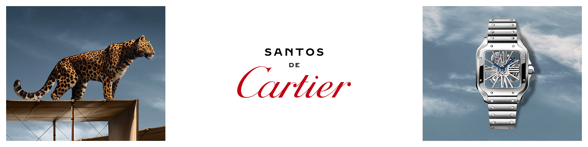 Cartier PUWA11659 Santos Skeleton