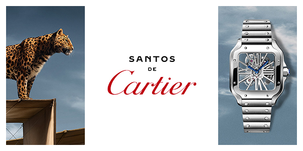 Cartier PUWA11659 Santos Skeleton