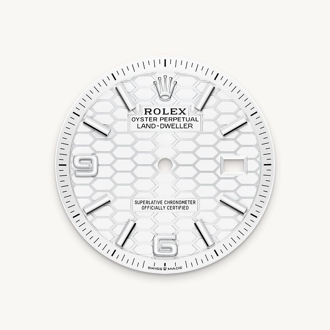 Rolex Land-Dweller腕錶白色黃金鋼（蠔式鋼與白色黃金的組合）款，M127234-0001 - 歐洲坊