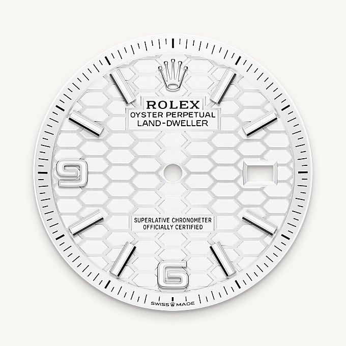 Rolex Land-Dweller腕錶白色黃金鋼（蠔式鋼與白色黃金的組合）款，M127234-0001 - 歐洲坊