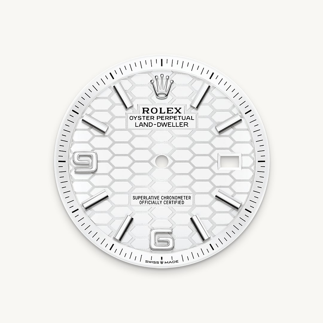 Rolex Land-Dweller腕錶白色黃金鋼（蠔式鋼與白色黃金的組合）款，M127334-0001 - 歐洲坊