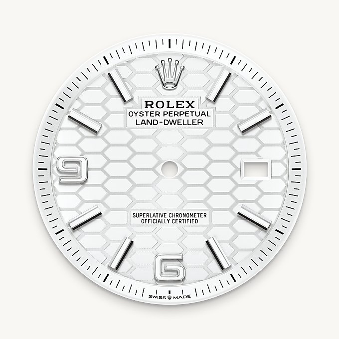 Rolex Land-Dweller腕錶白色黃金鋼（蠔式鋼與白色黃金的組合）款，M127334-0001 - 歐洲坊