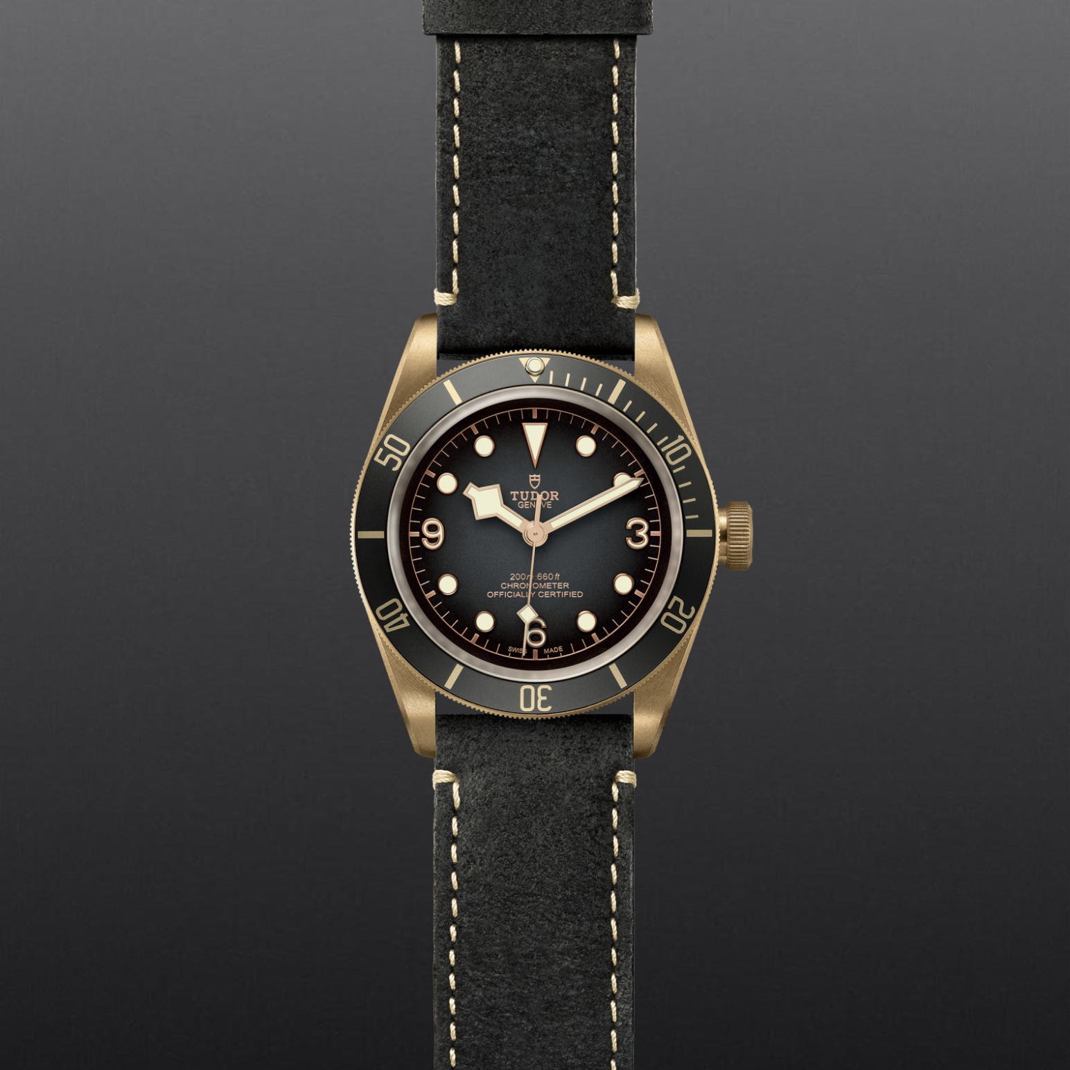 Black Bay Bronze