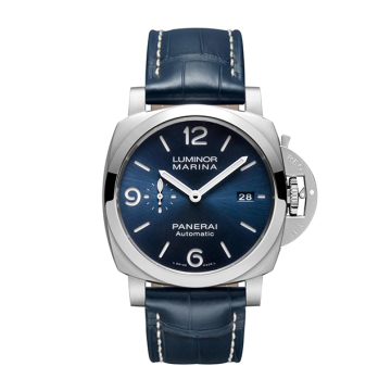 PAM01313